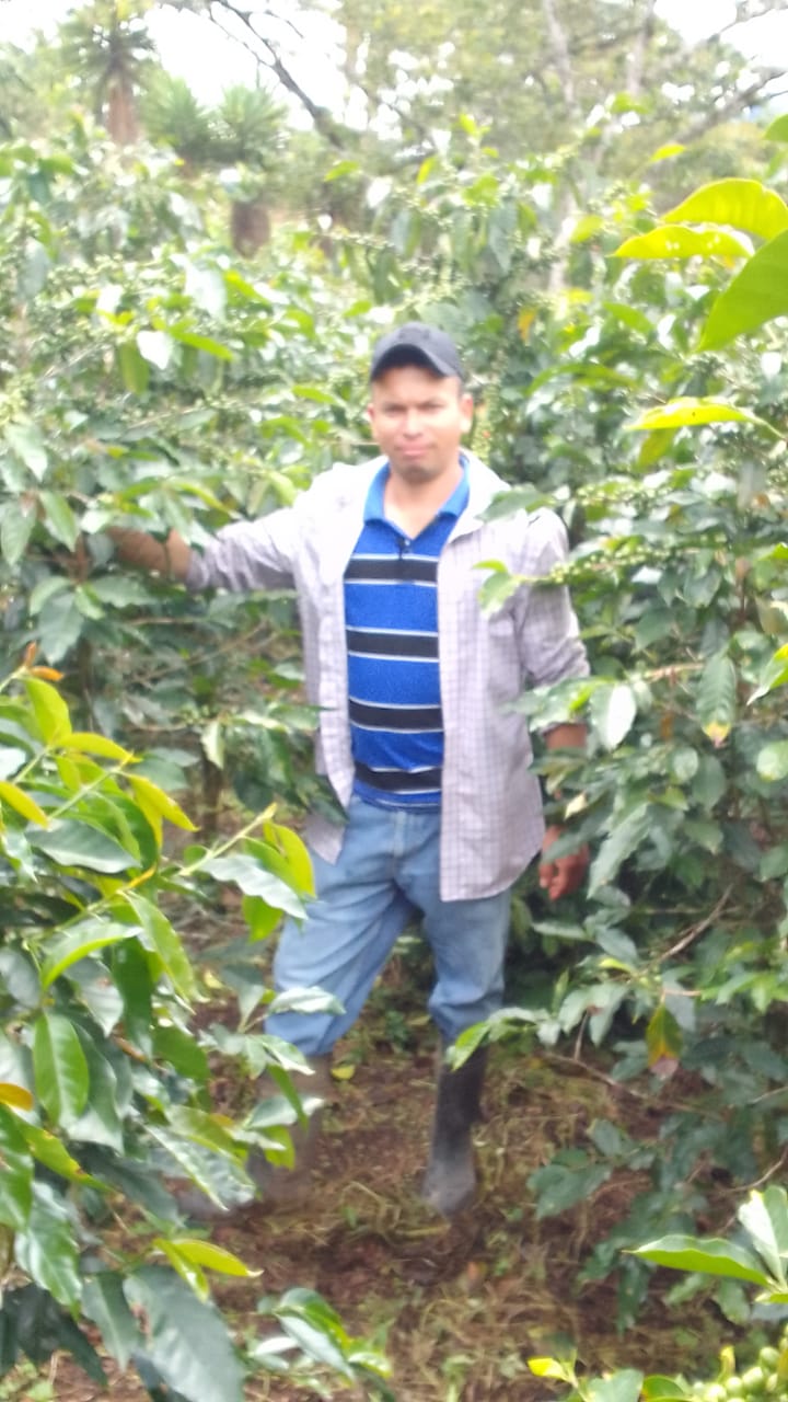 Elmer Escobar Honduras Honey Maracala La Paz