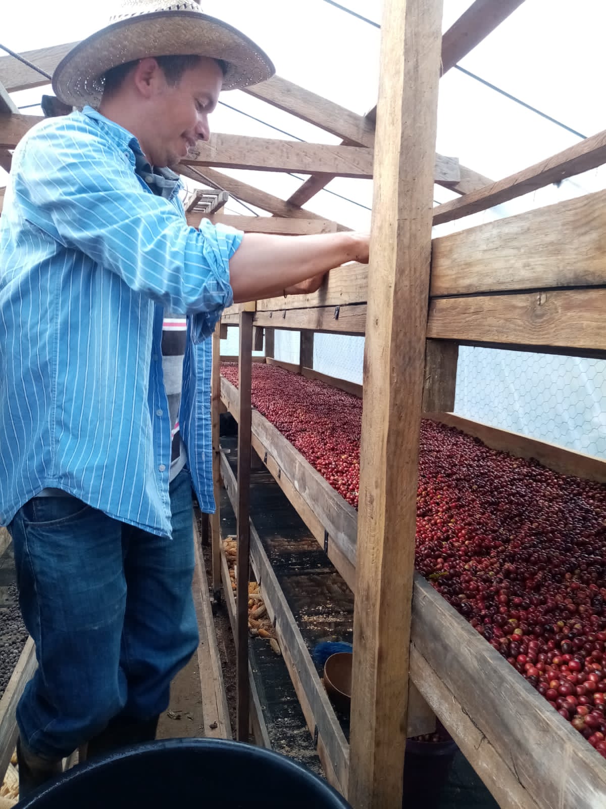 Elmer Escobar Honduras Honey Maracala La Paz