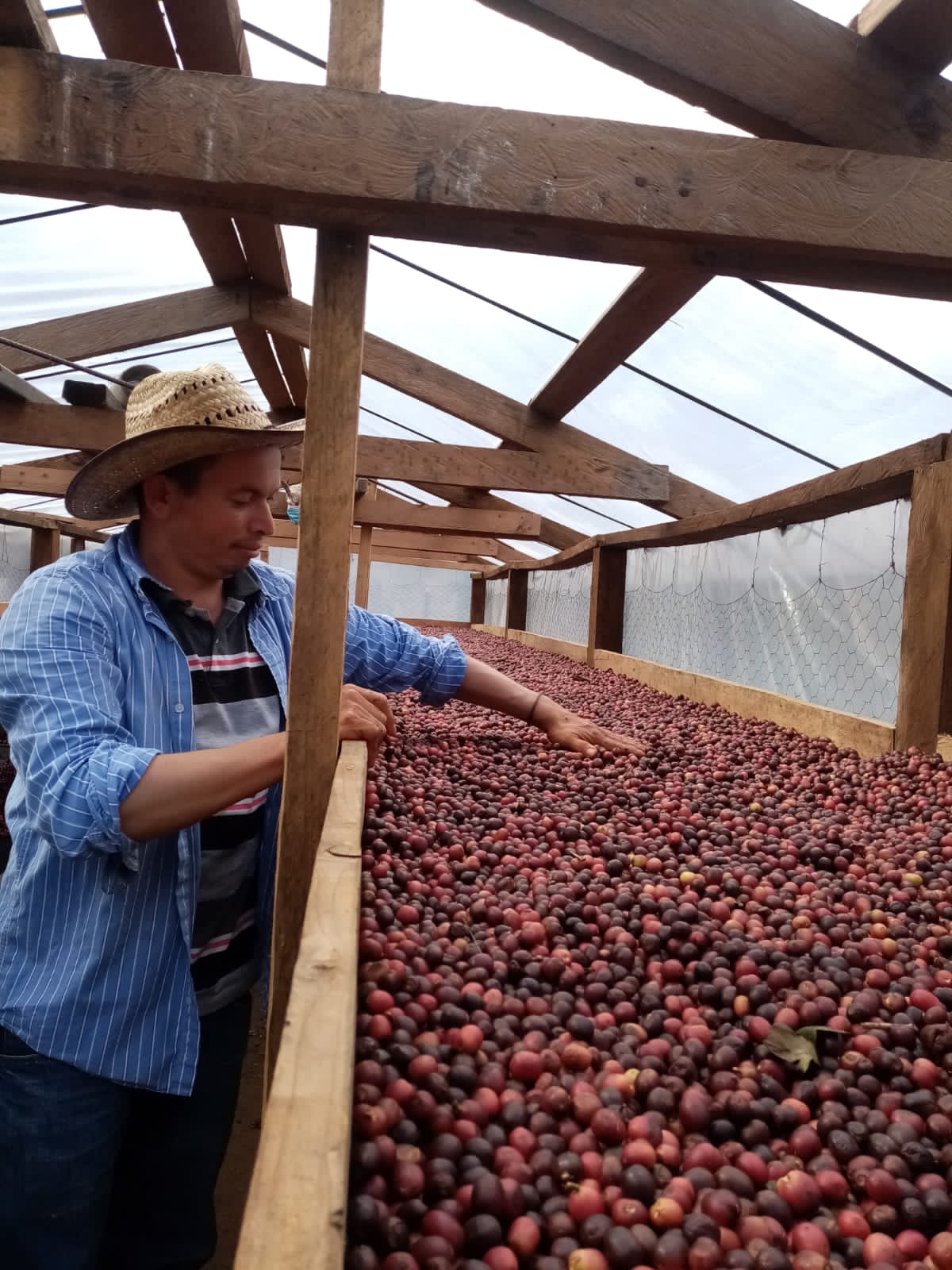 Elmer Escobar Honduras Honey Maracala La Paz