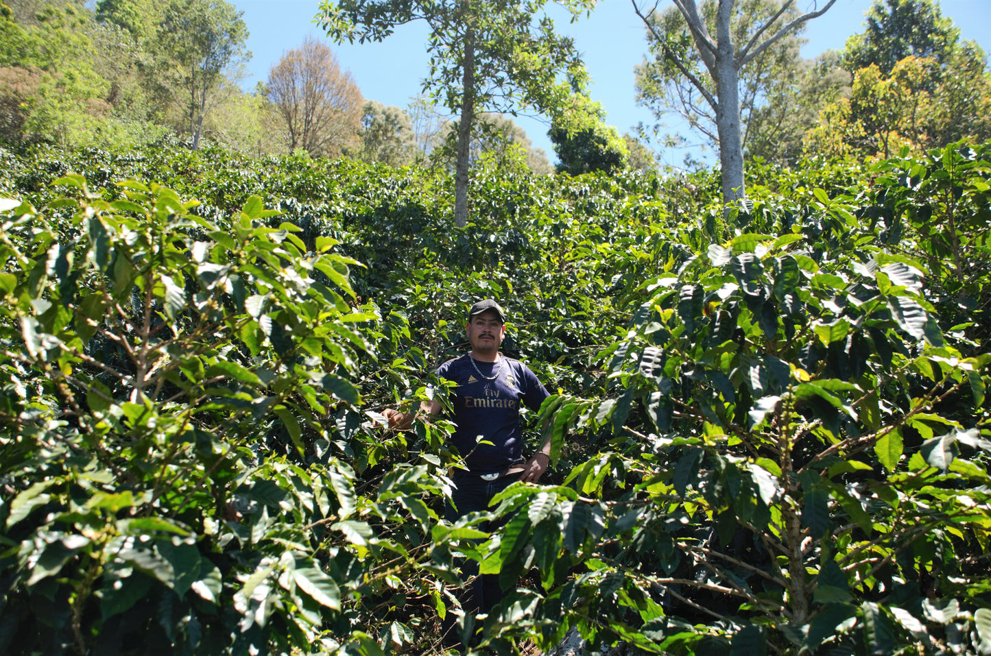 Olvin Hernandez Honduras Finca Qesaquire