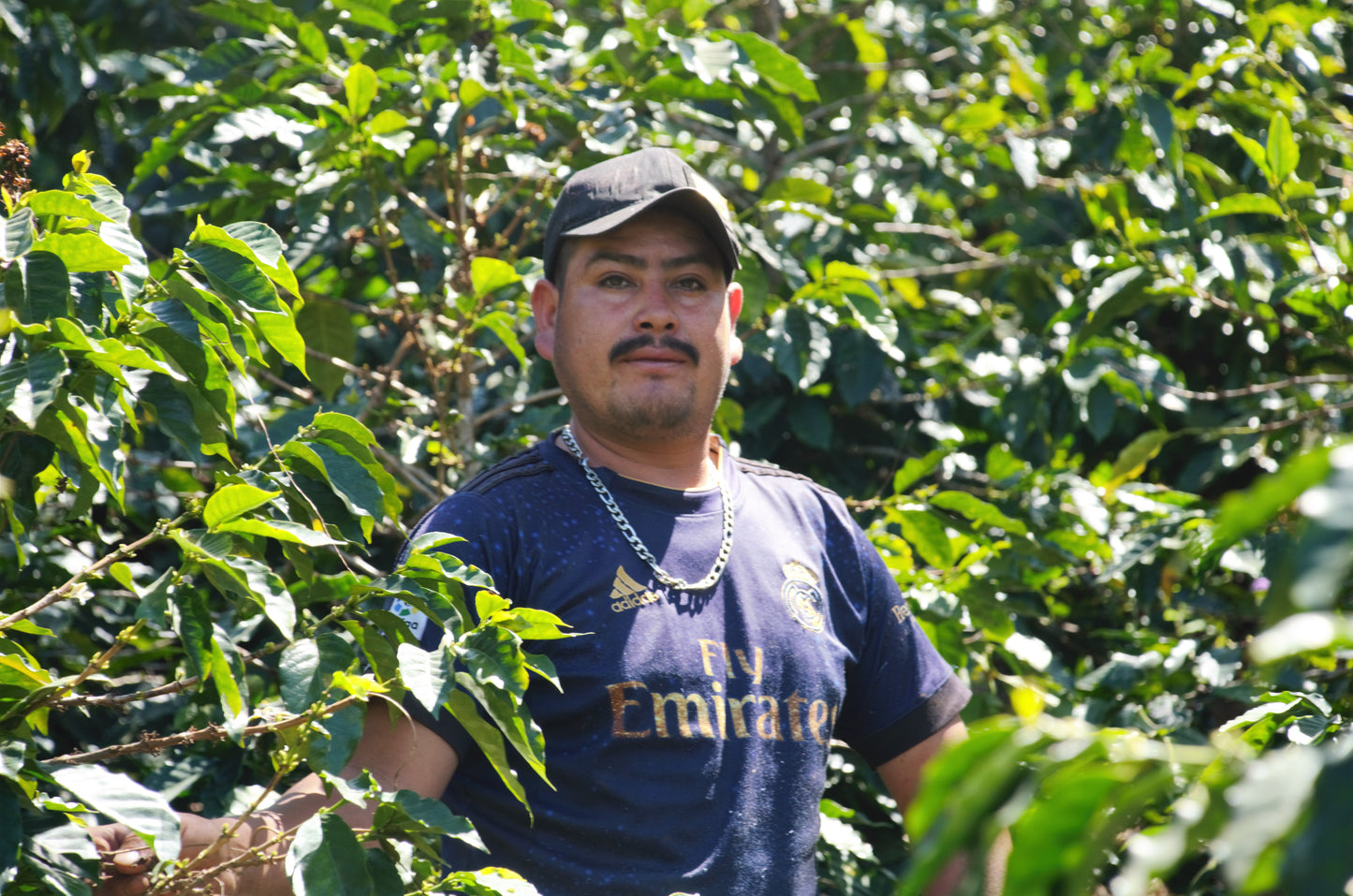 Olvin Hernandez Honduras Finca Qesaquire