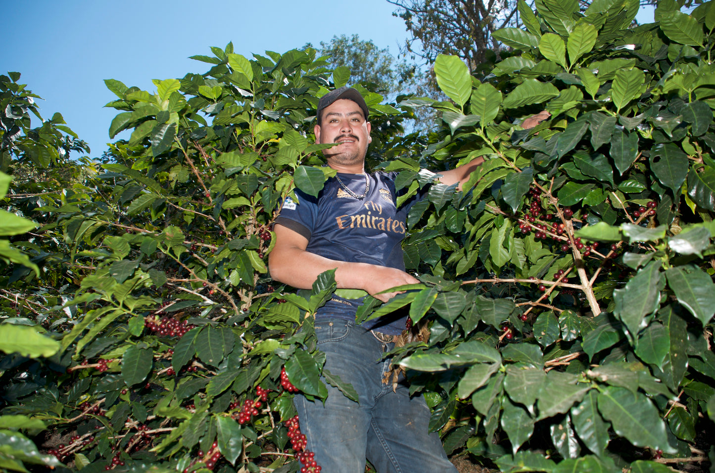 Olvin Hernandez Honduras Finca Qesaquire