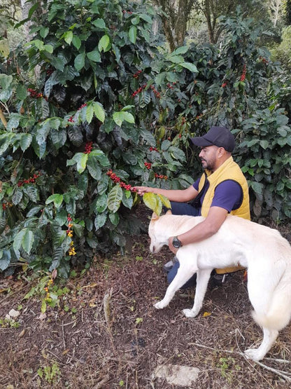 Filander Hernandez Honduras Sulaco Yoro